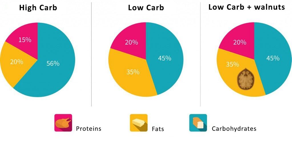raspored proporcionalnog sadržaja proteina, ugljikohidrata Wen